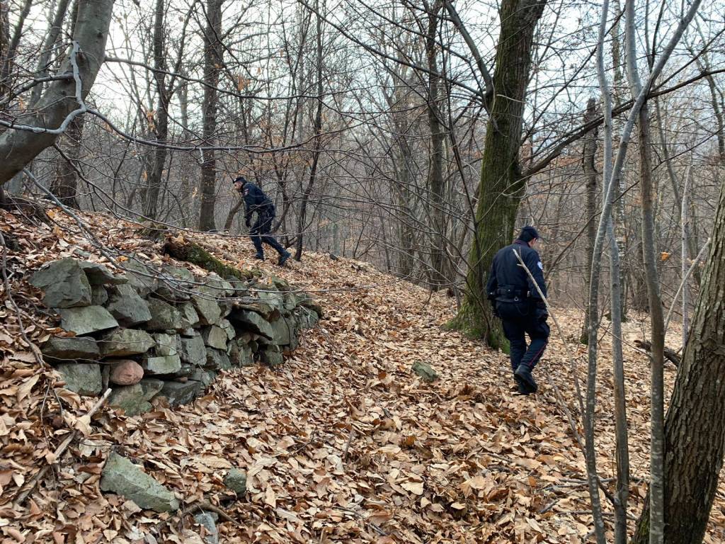 Spaccio nei boschi: smantellato bivacco a Grantola