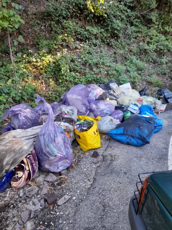Volontari e amministratori ripuliscono i boschi dello spaccio in Valganna