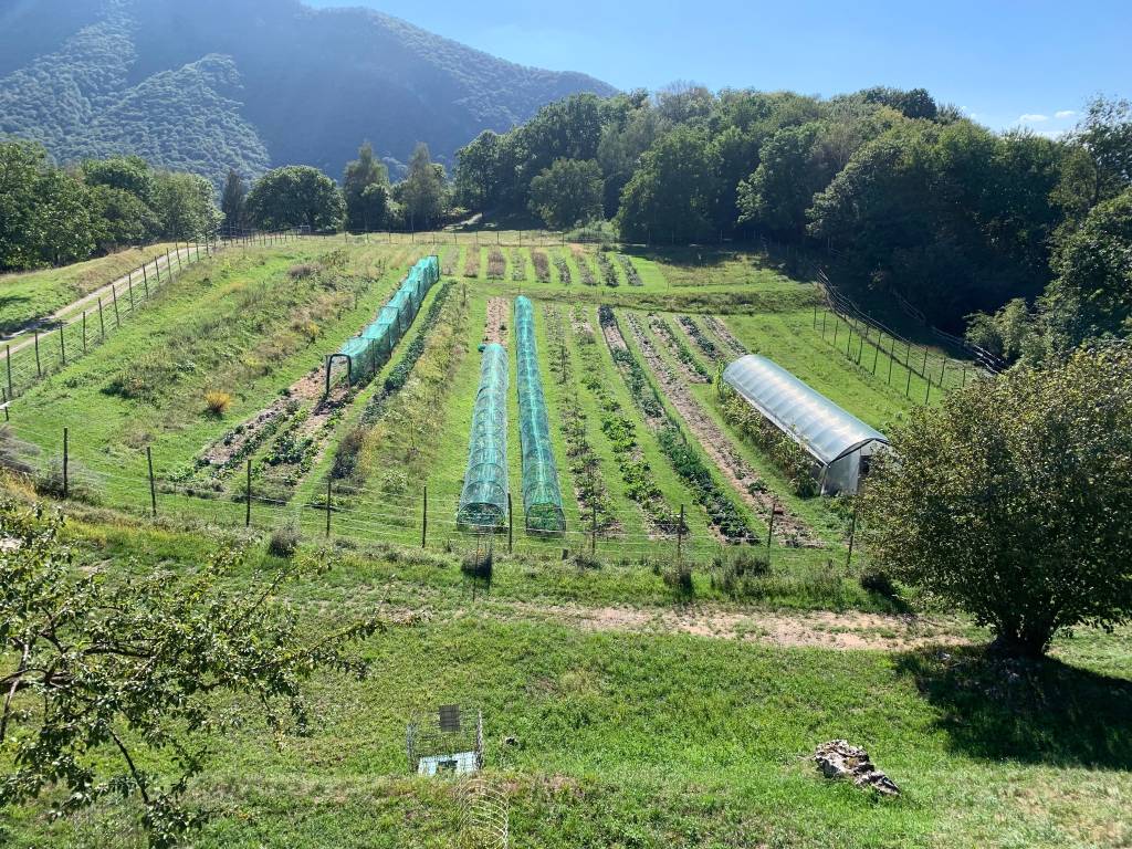 Castello Cabiaglio - 