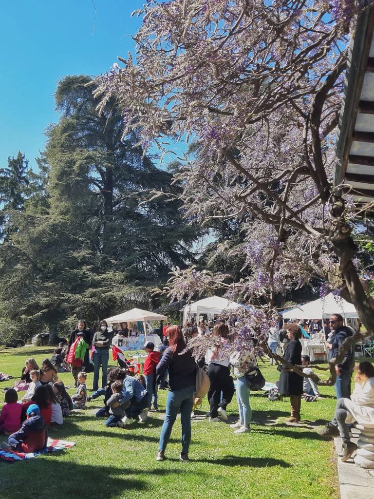 Creanza Creative Market 