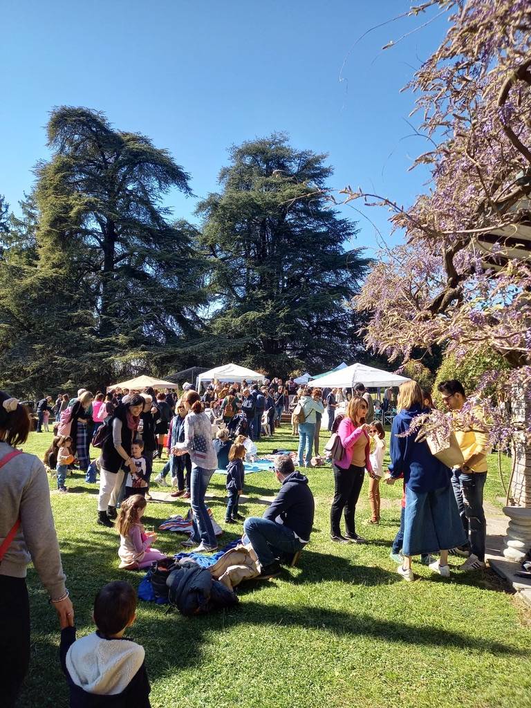 Creanza Creative Market 