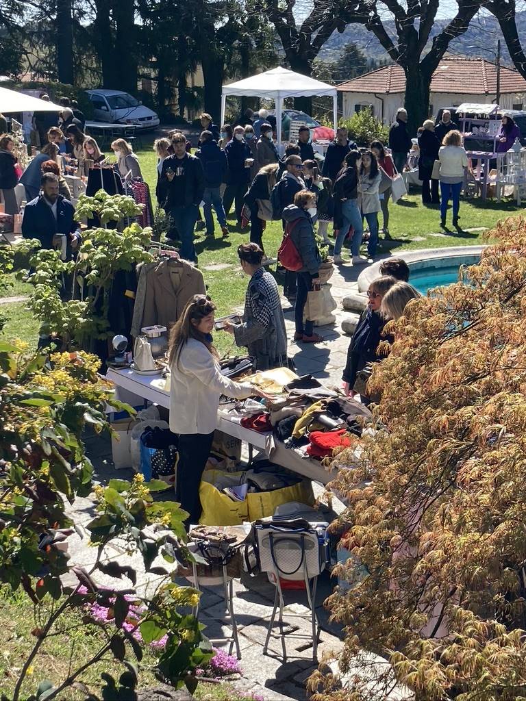 Creanza Creative Market 