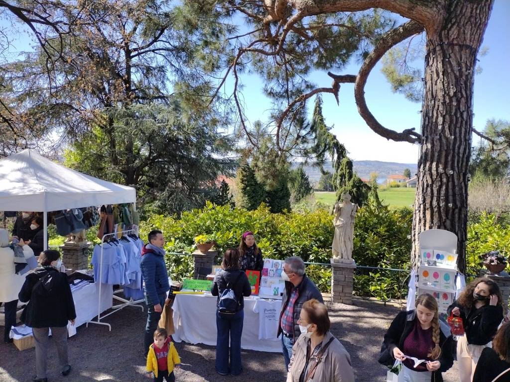 Creanza Creative Market 