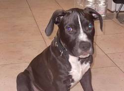 Generico 05 Sep 2022