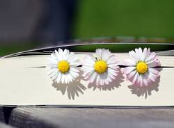 Generico 26 Sep 2022