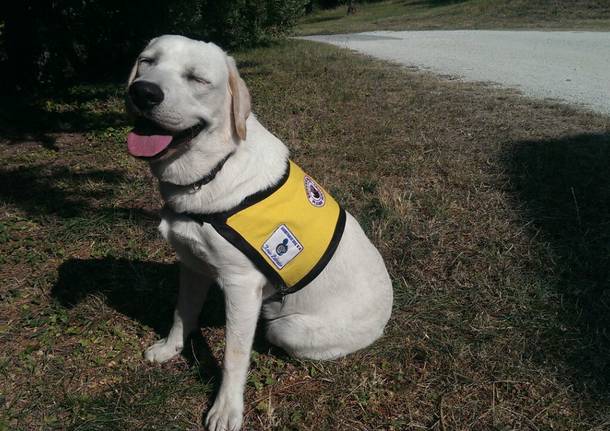 Generico 29 Aug 2022