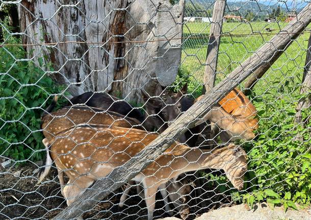 Grantola tour 2022 luoghi 