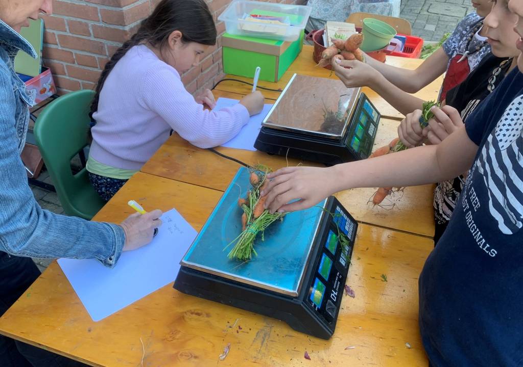 Green Market alla scuola di Morosolo