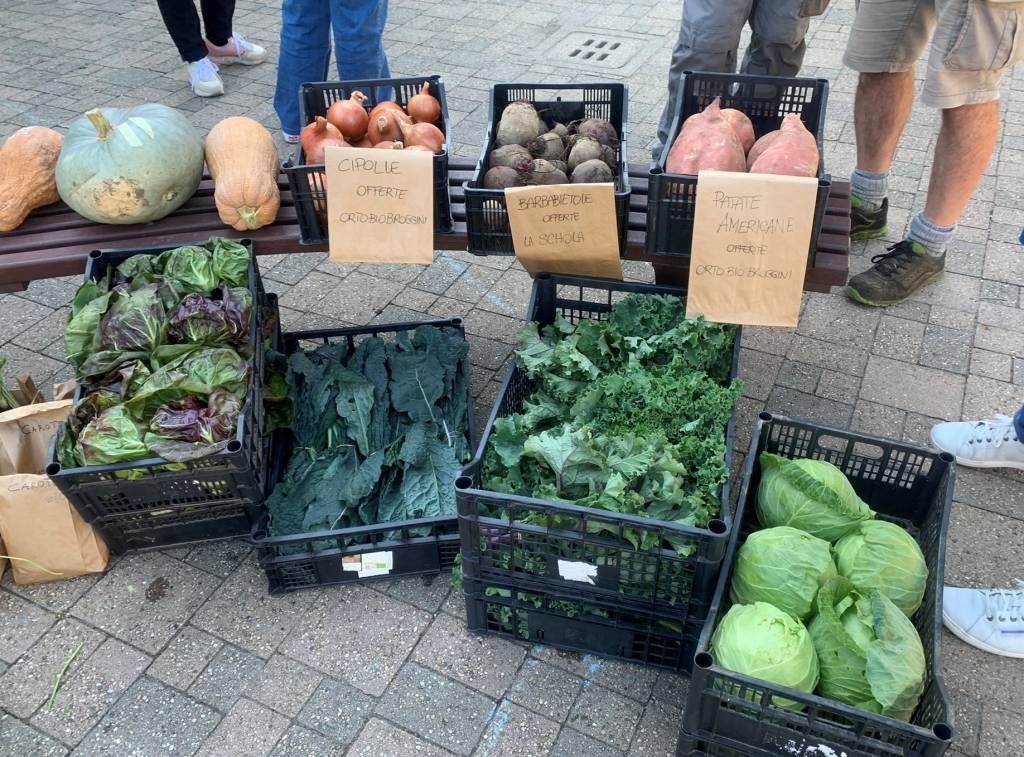 Green Market alla scuola di Morosolo