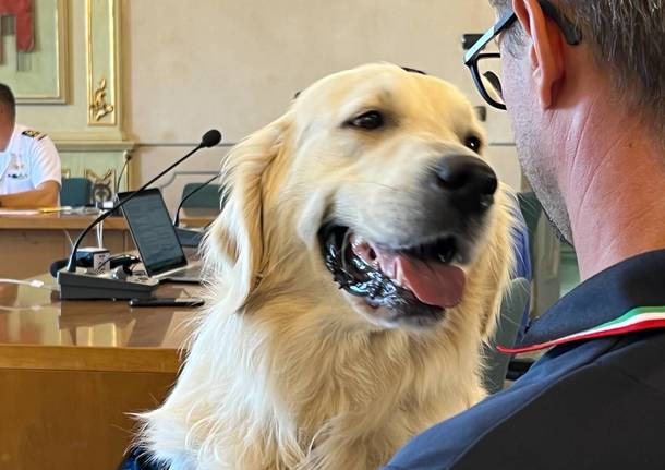 Guardia Costiera sul Lago Maggiore - 2022 