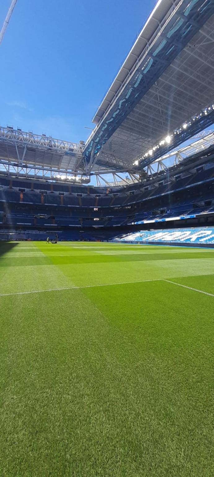 Il nuovo prato del Bernabéu