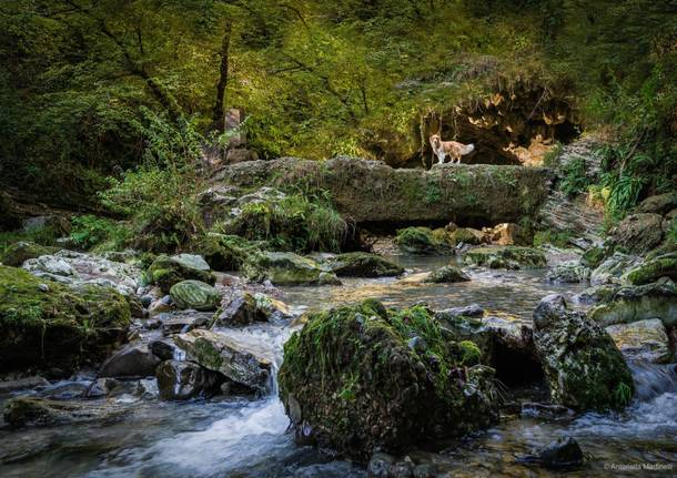 Il Ponte del Diavolo a Morosolo