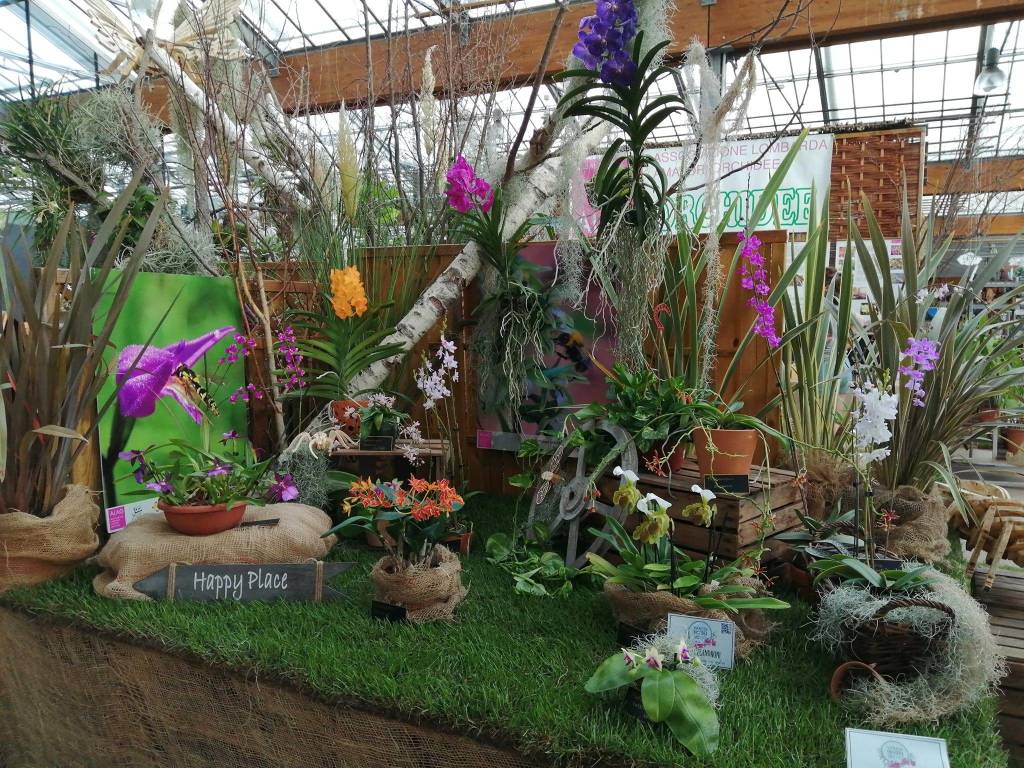 La 15^ edizione di Varese Orchidea da Agricola a Varese