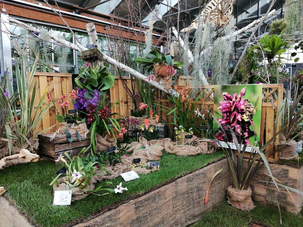 La 15^ edizione di Varese Orchidea da Agricola a Varese