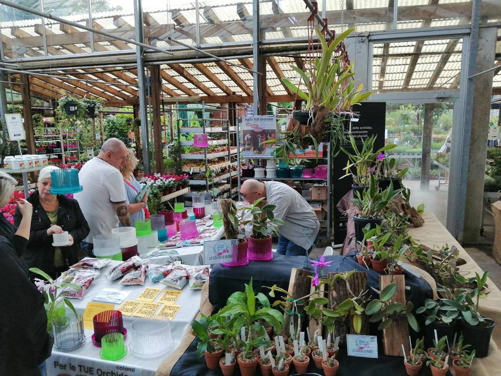 La 15^ edizione di Varese Orchidea da Agricola a Varese