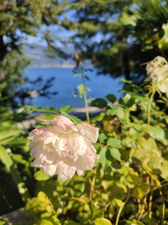 La località Montesole a Porto Valtravaglia