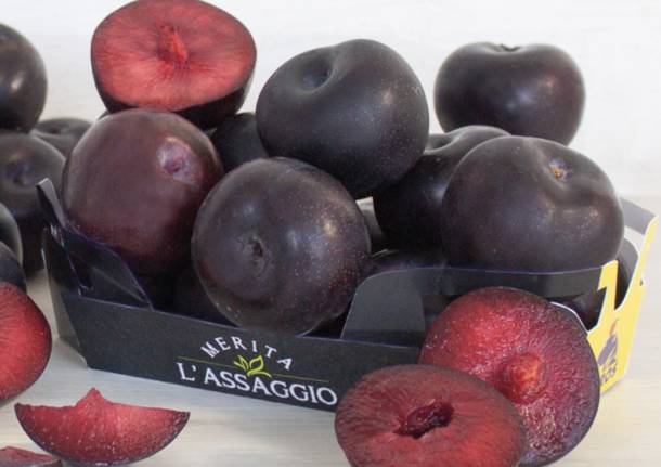 Merita Assaggio TIGROS settembre