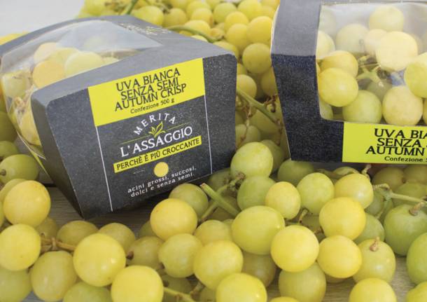 Merita Assaggio TIGROS settembre