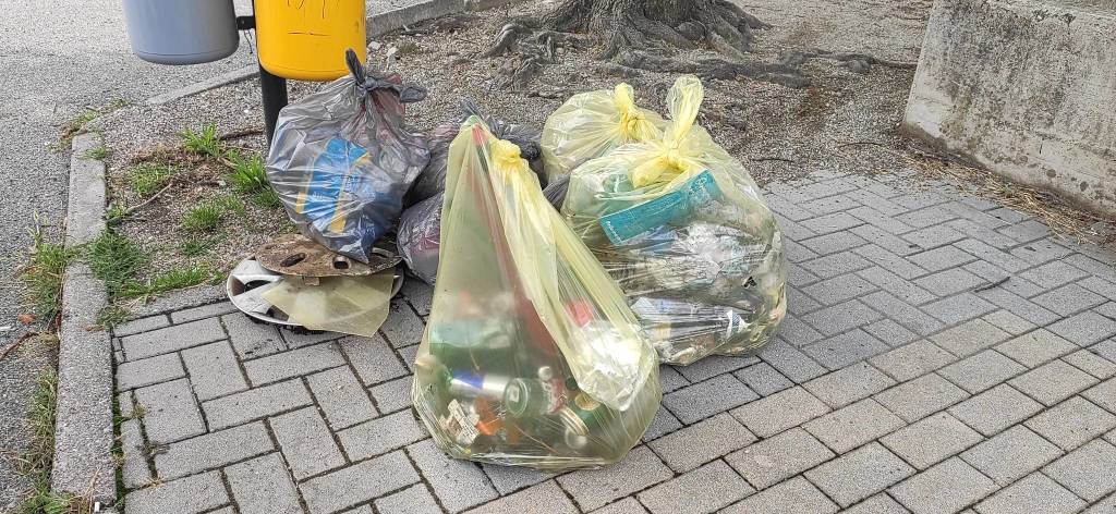 pulizia verde bambini cocquio settembre 2022