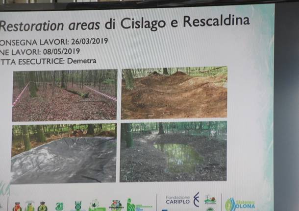 "Sistema Olona". Siglato l'accordo di rete a tutela della biodiversità nella provincia di Varese