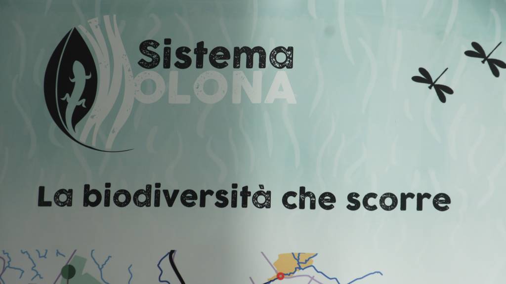 "Sistema Olona". Siglato l'accordo di rete a tutela della biodiversità nella provincia di Varese