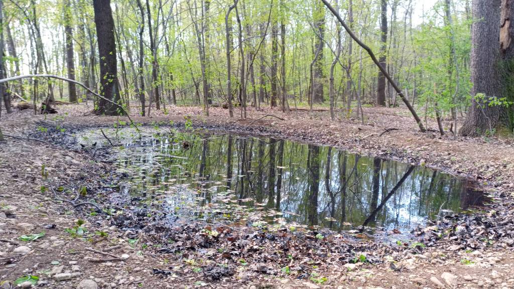 "Sistema Olona". Siglato l'accordo di rete a tutela della biodiversità nella provincia di Varese