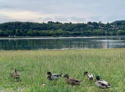 Varese Lago tour 2022 luoghi 