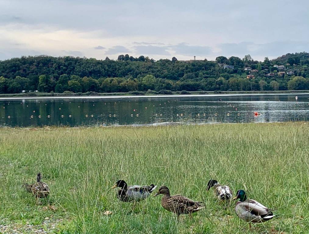Varese Lago tour 2022 luoghi 