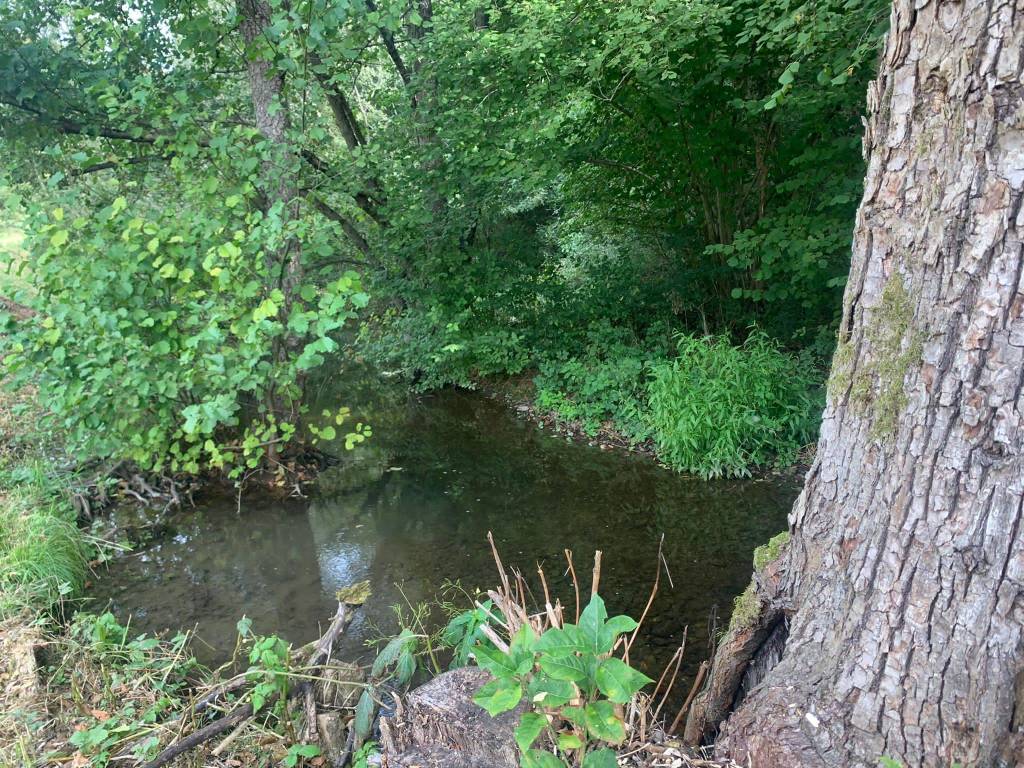 Varese Lago tour 2022 luoghi 