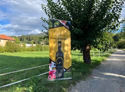 Vendemmia Casciago 