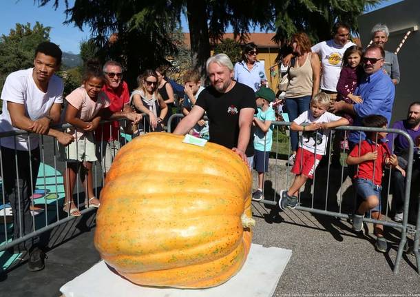 Zucca Gigante Brunello