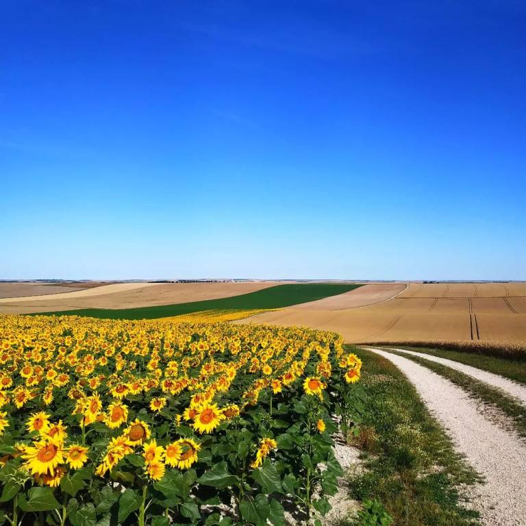 3200 chilometri a piedi sulla via Francigena. "Un'esperienza meravigliosa che ti cambia la vita"