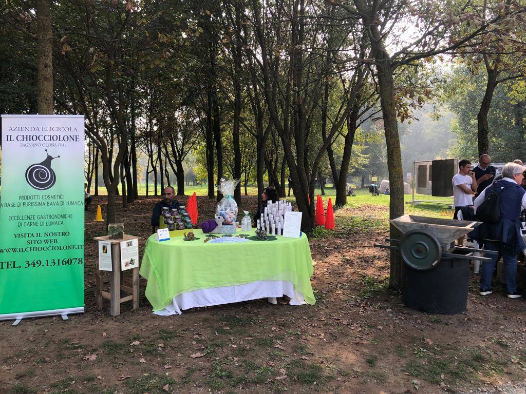 A Fagnano si celebra la festa dell'autunno e la giornata della Meraviglia