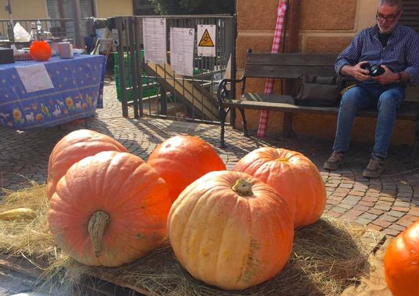 La Festa della Zucca ad Agra