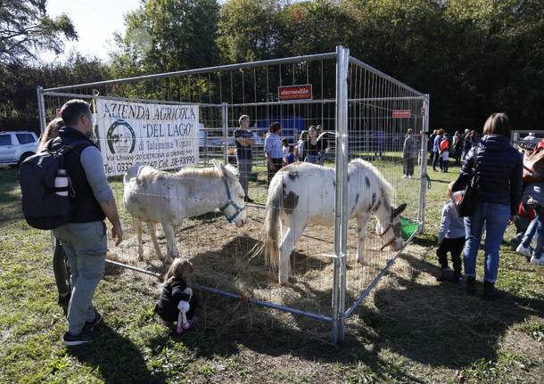 AgriMornago, un successo inarrestabile