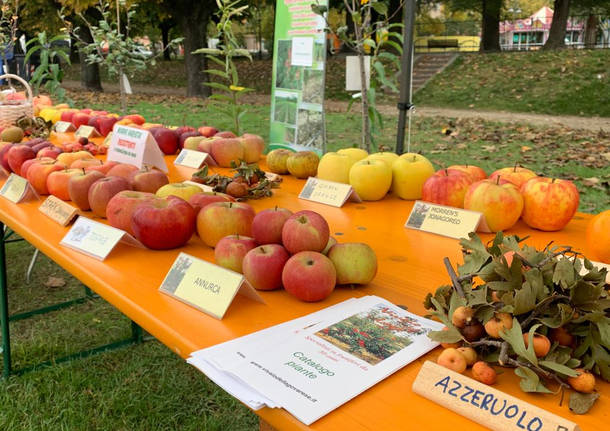 AgriVarese ad Angera