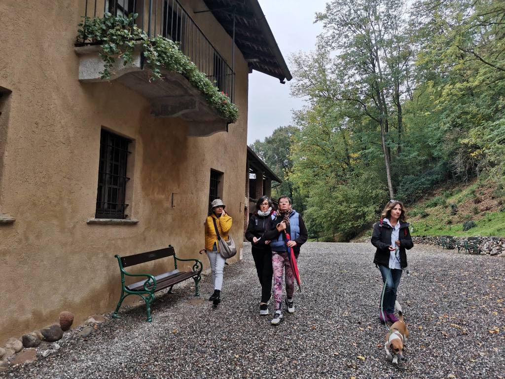 Archeologistics mostra il fascino di Castelseprio e Torba 