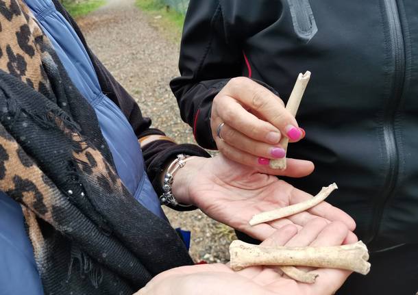 Archeologistics mostra il fascino di Castelseprio e Torba 