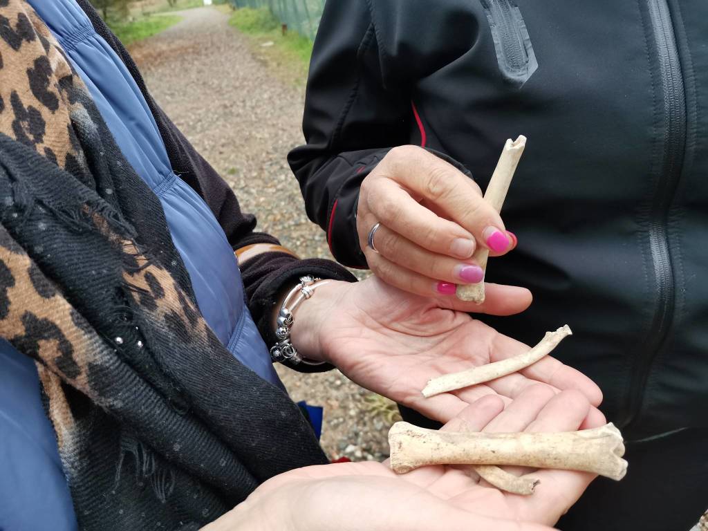 Archeologistics mostra il fascino di Castelseprio e Torba 