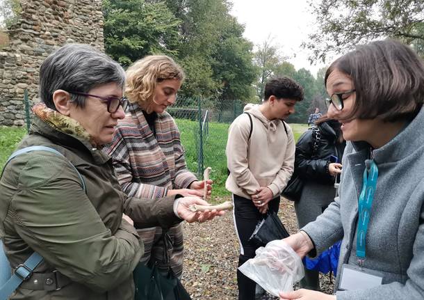 Archeologistics mostra il fascino di Castelseprio e Torba 