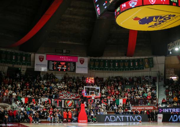 basket pallacanestro varese