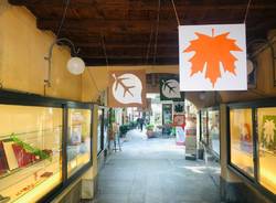 Busto Arsizio centro tour 2022centro