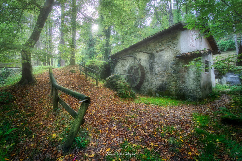 Autunno al parco dell\'Argentera