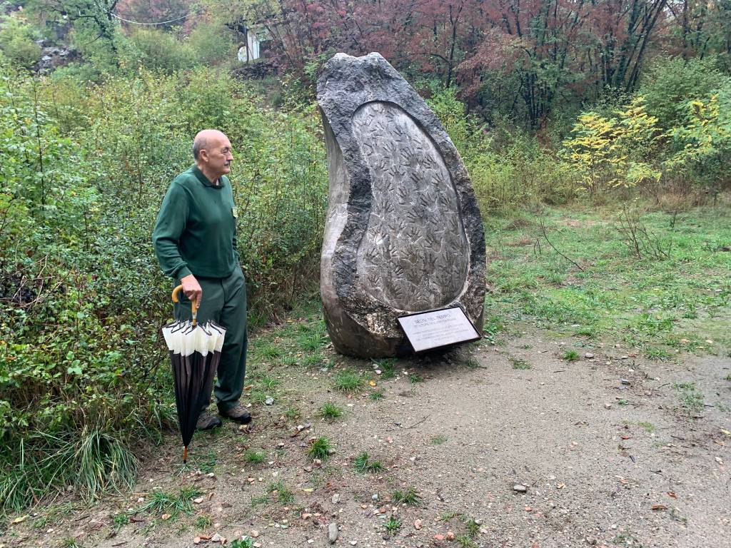 Cave di arzo