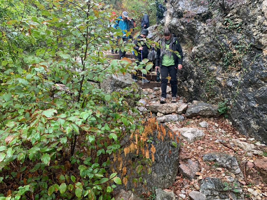 Cave di arzo