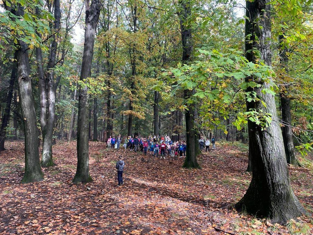 festa d'autunno alla settembrini