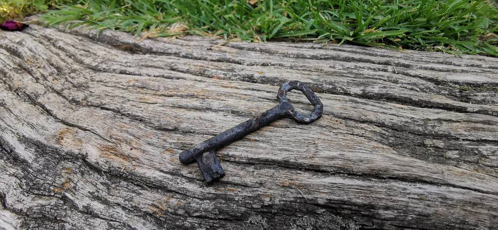 I reperti pescati col magnete nel Lago di Varese