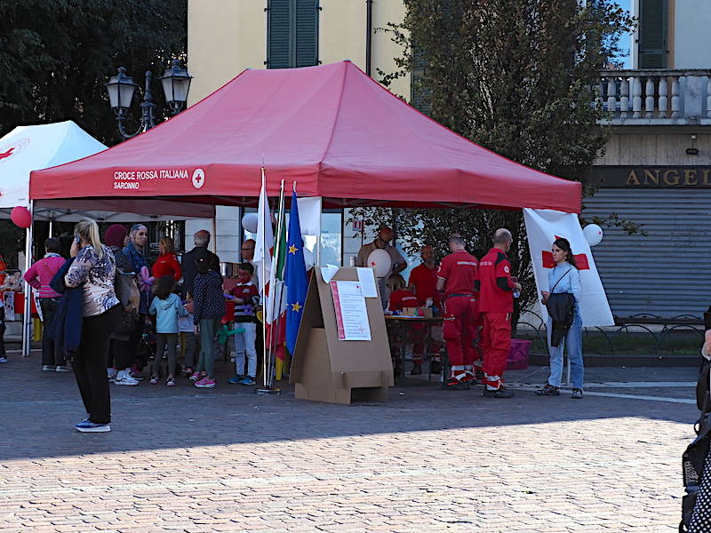 Idee in corso a Saronno