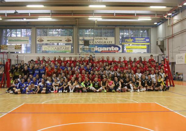 pallavolo canegrate