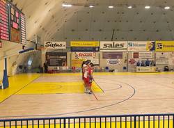 Piombino - Legnano basket